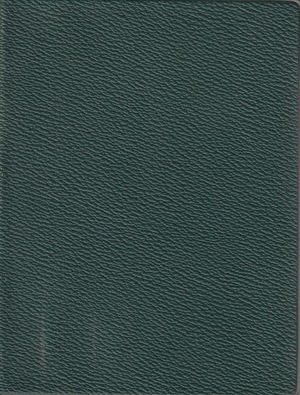 Novyi Zavet gospoda nashego Iisusa Khrista Новый Завет господа нашего Иисуса Христа