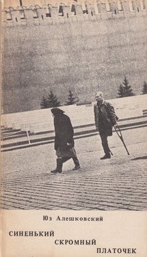 Sinenkii skromnyi platochek