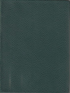 Novyi Zavet gospoda nashego Iisusa Khrista